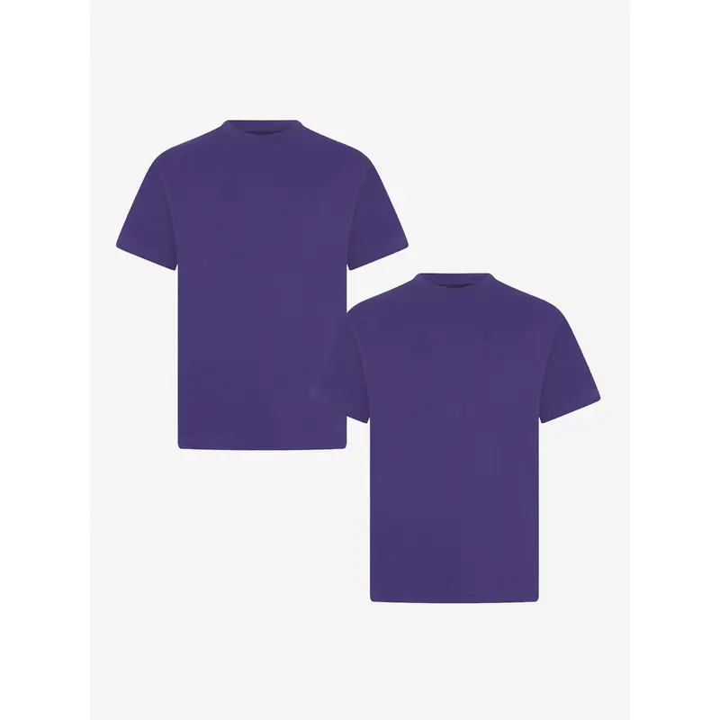 Zeco Kids School Crew Neck T-Shirt (Twin Pack) in Purple