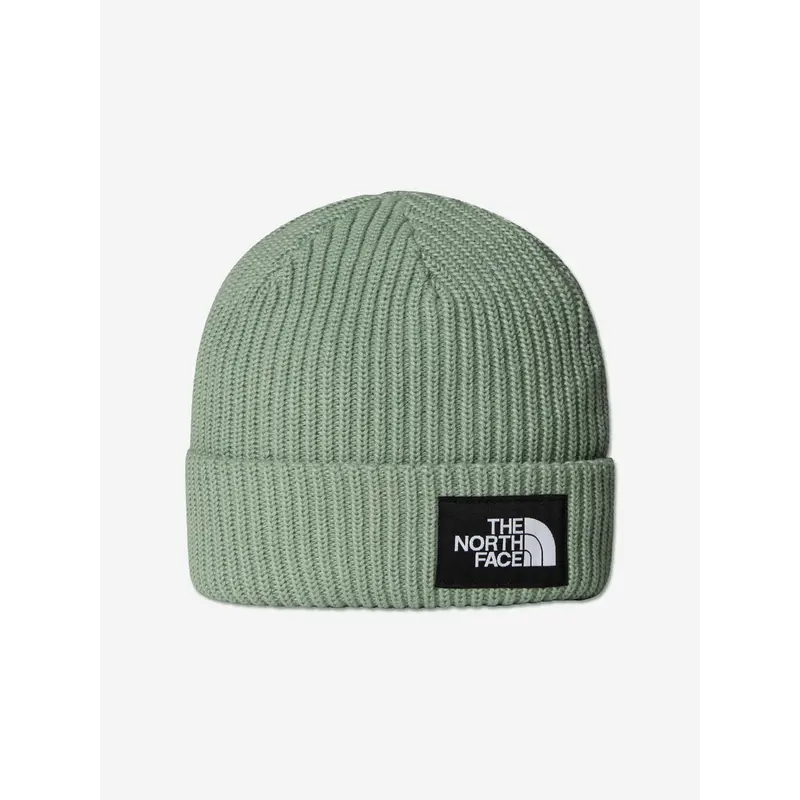 The North Face Kids Salty Lined Beanie Hat in Green
