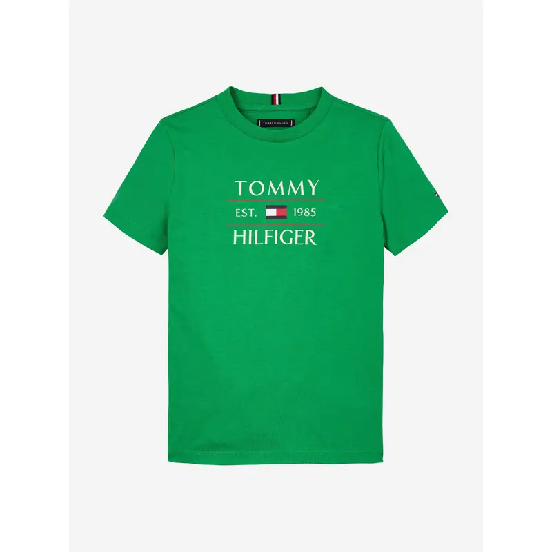 Tommy Hilfiger Boys Tommy Flag T-Shirt in Green