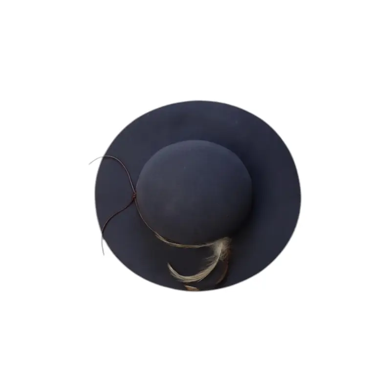 Bonpoint Wool Hat With Feather Detail O/S