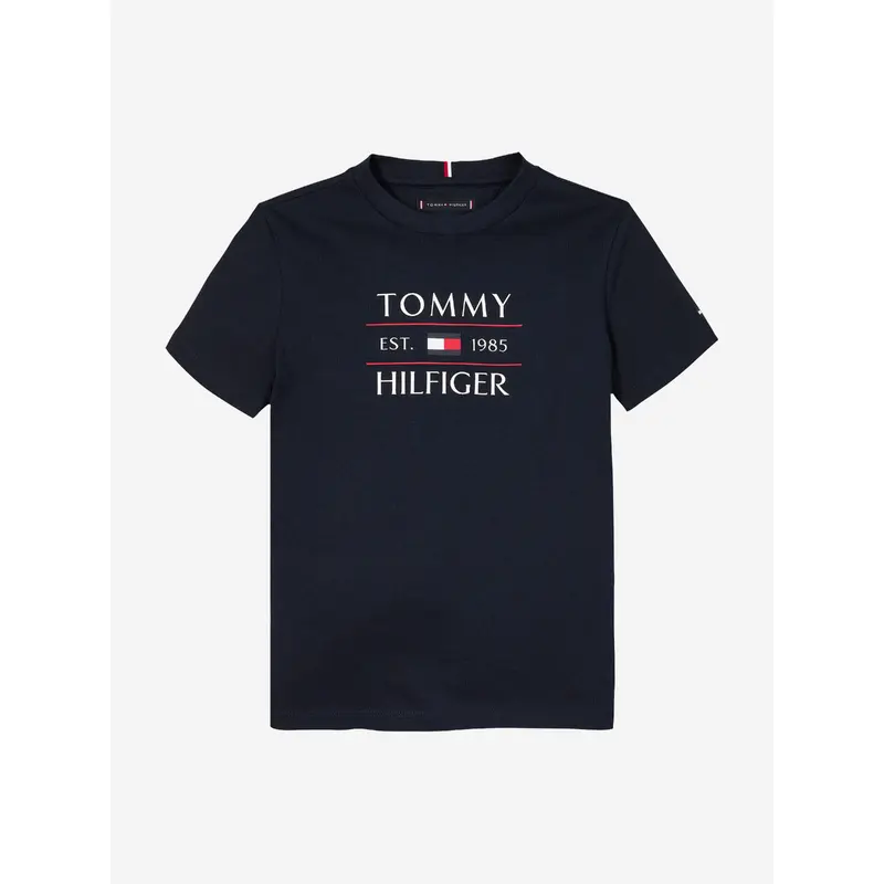 Tommy Hilfiger Boys Tommy Flag T-Shirt in Navy